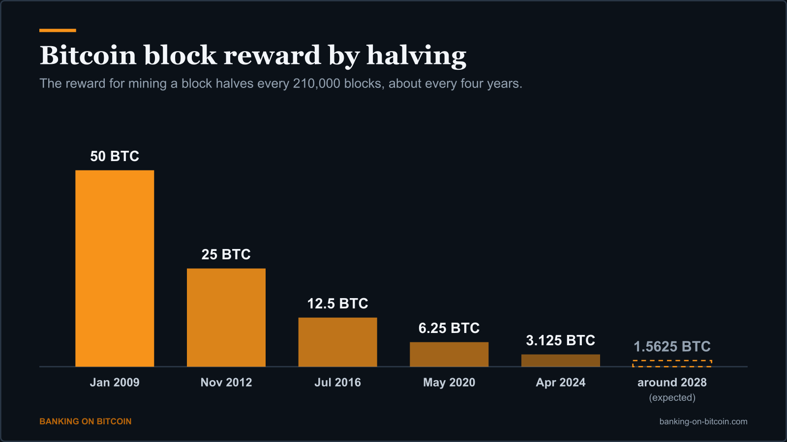 Bar chart of the Bitcoin block reward falling from 50 BTC in 2009 to 3.125 BTC in 2024